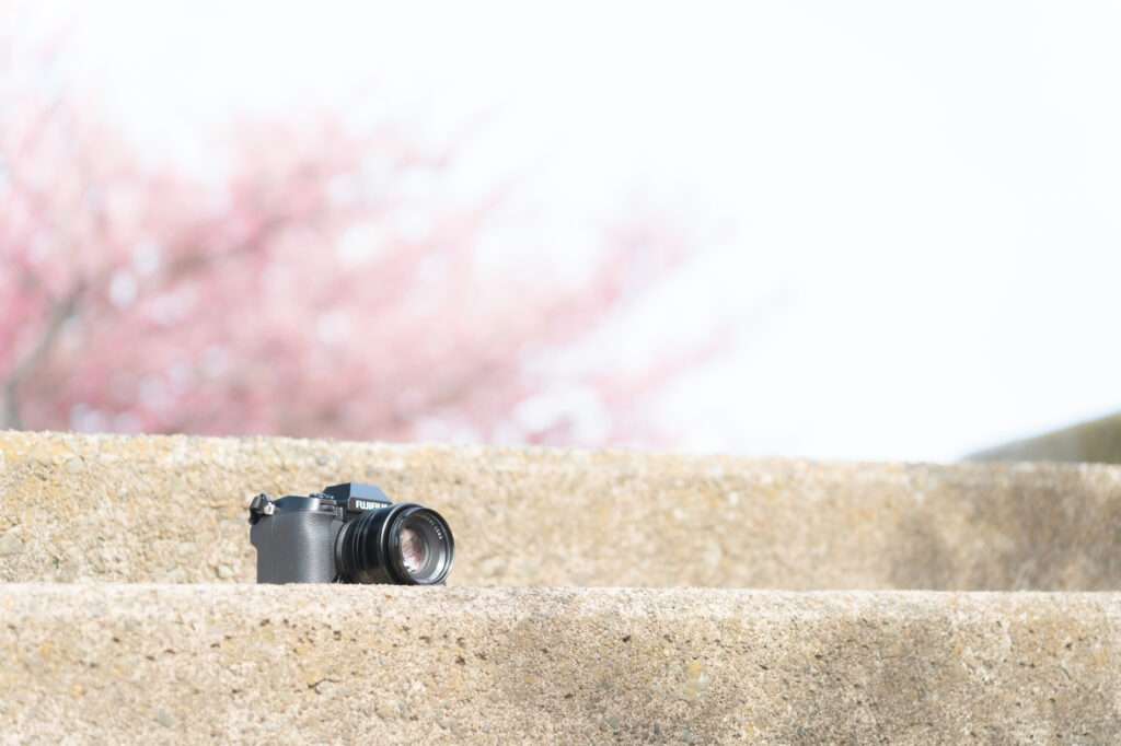 階段に置かれたカメラと桜