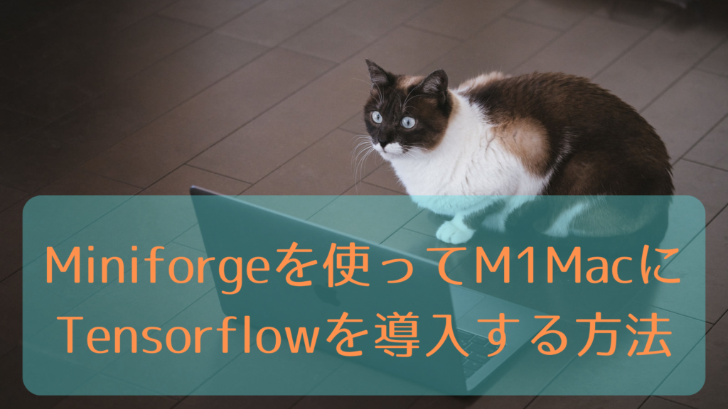 Miniforgeを使ってM1Macに Tensorflowを導入する方法